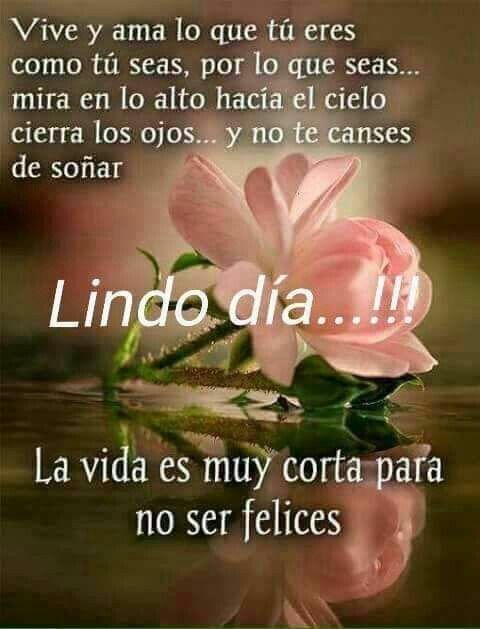 Lindo dia....!!!