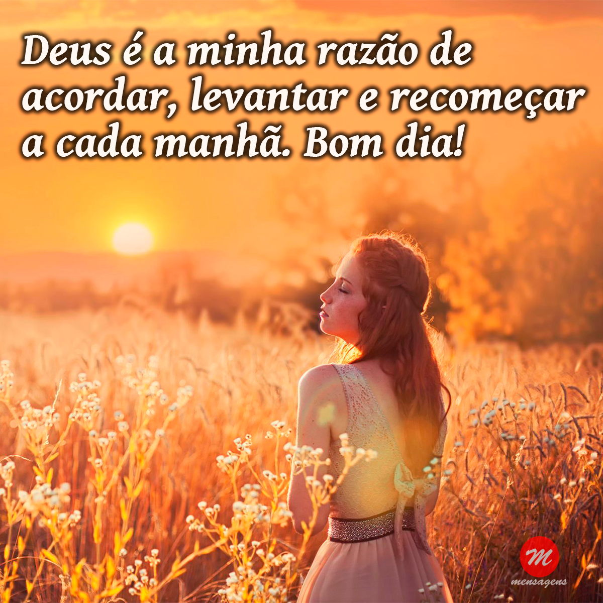 Hoje é dia de recomeçar, perseverar em busca dos sonhos.