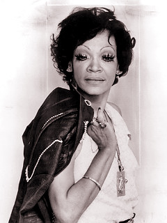 amd_la_lupe.jpg (240&times;320)