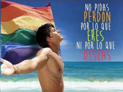 no_pidas_perdon.jpg (500×373)