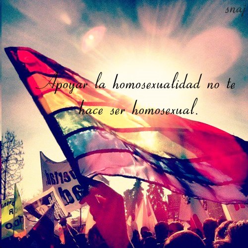no_te_hace_gay.jpg (500×500)