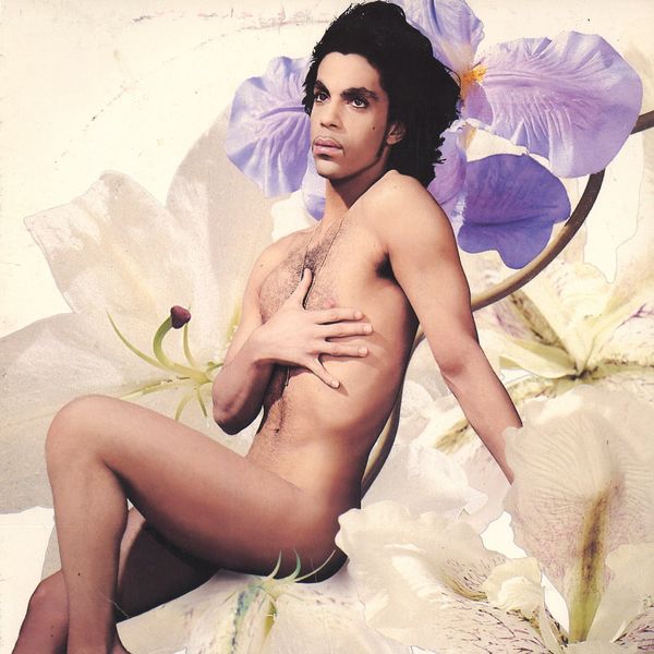 prince9.jpg (480&times;480)