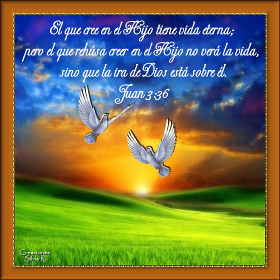 My Image 43