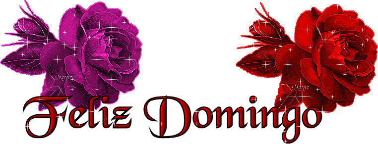 feliz_domingo_rosas_rojas.gif (762&times;291)