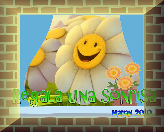 saludo