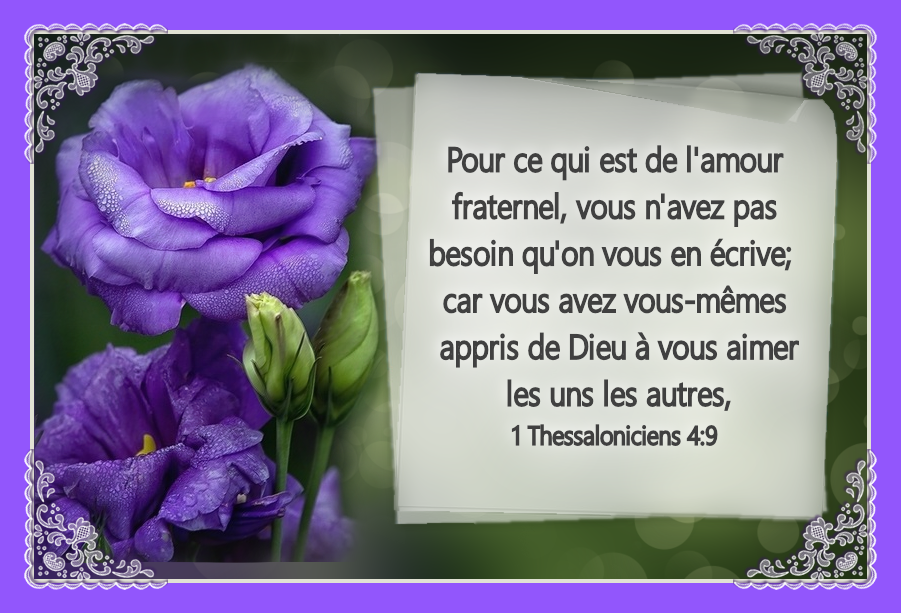 https://www.gabitos.com/JESUS_LE_BON_BERGER/images/8.png