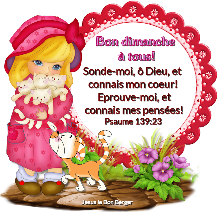 https://www.gabitos.com/JESUS_LE_BON_BERGER/images/domingo.png