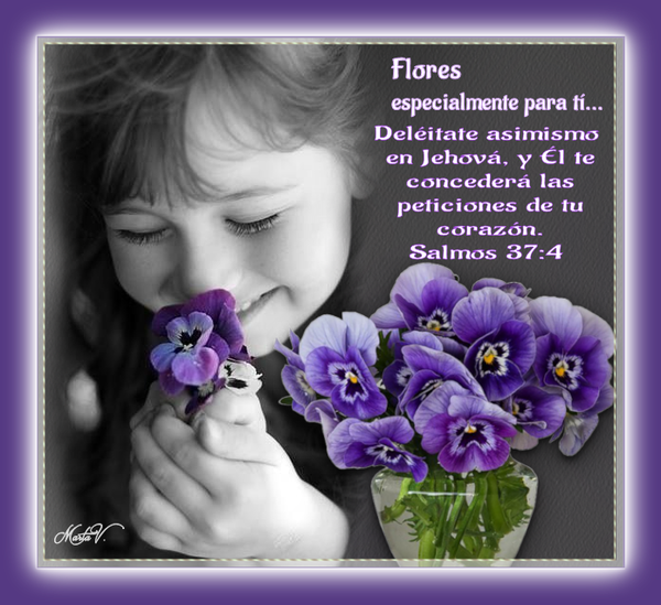 https://www.gabitos.com/La_Cellule_de_Priere__de_Romont/images/cae60920.png