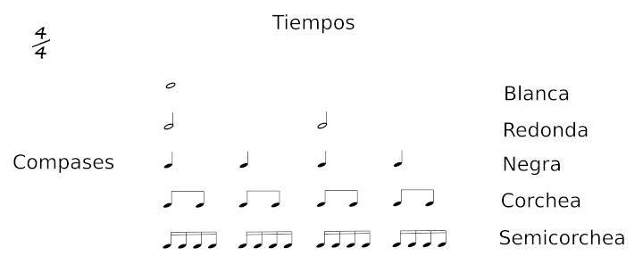 notas por tiempo en compases