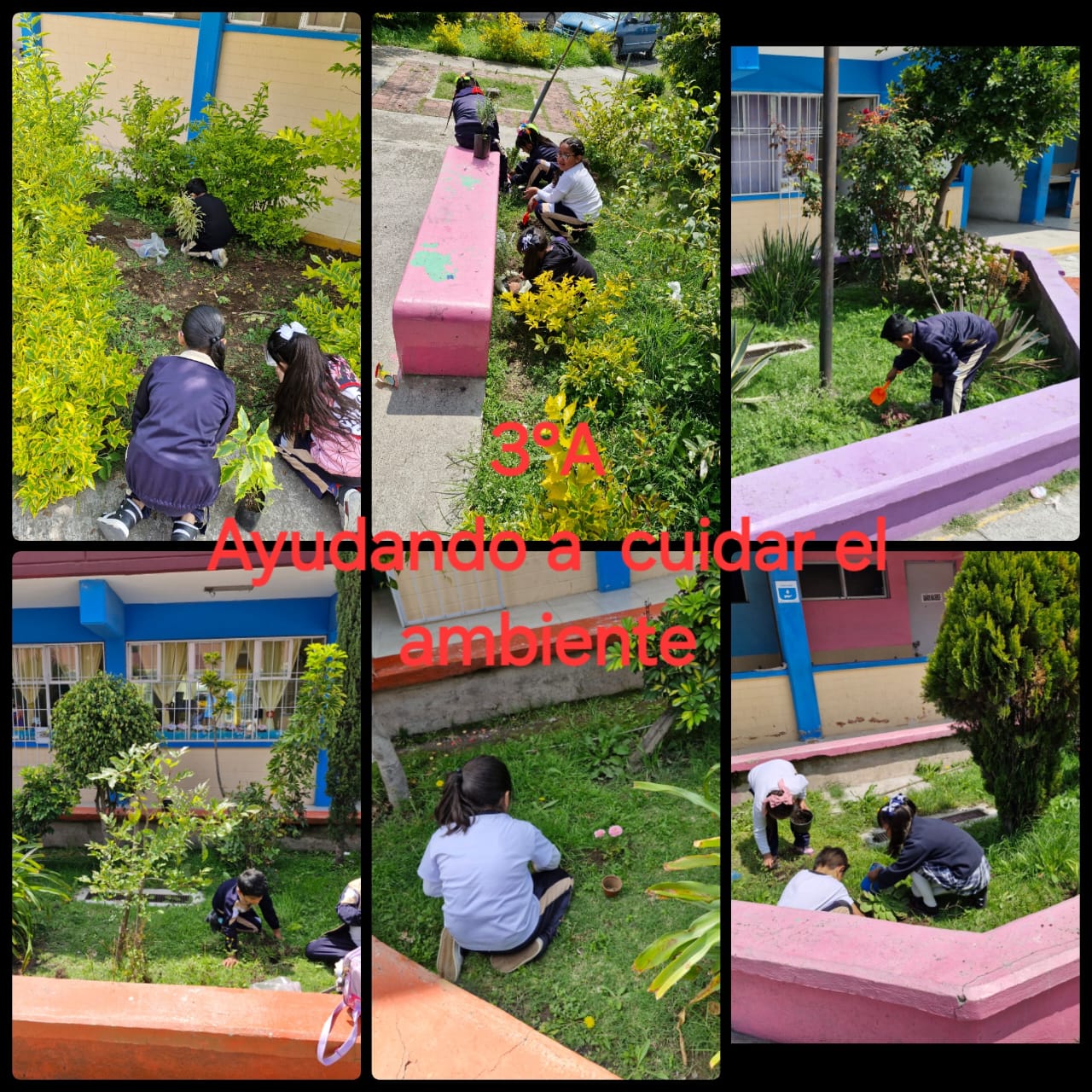 ALUMNOS CUIDANDO EL MEDIO AMBIENTE