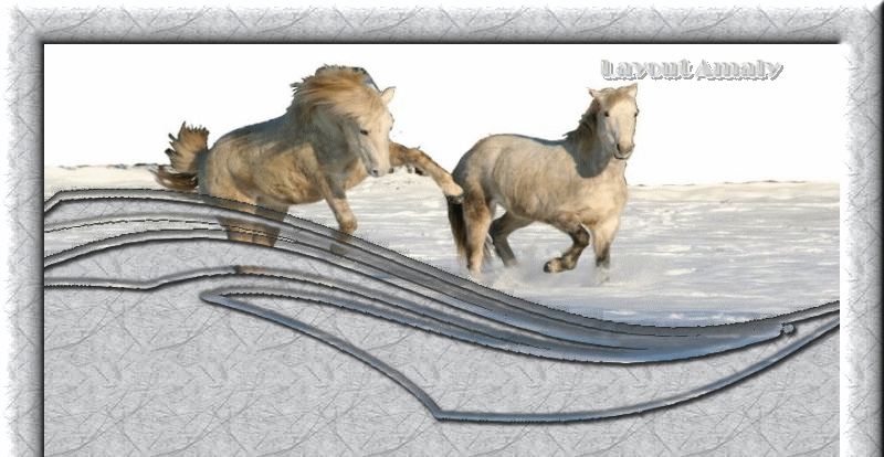 caballos