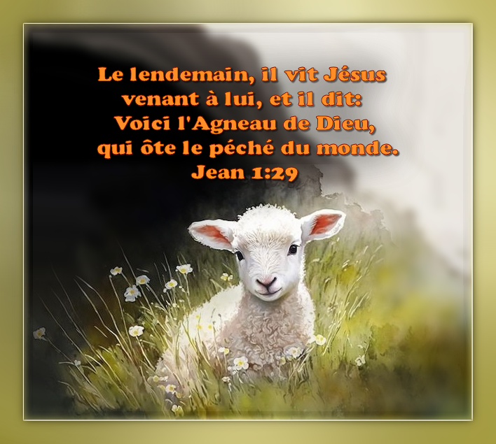 https://www.gabitos.com/jardin_mereilleux/images/lagneau_de_dieu.png