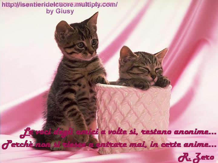 Le Più Belle Frasi Di Gesù LE FRASI PIU BELLE DI RENATO ZERO - I SENTIERI DEL CUORE - Gabitos