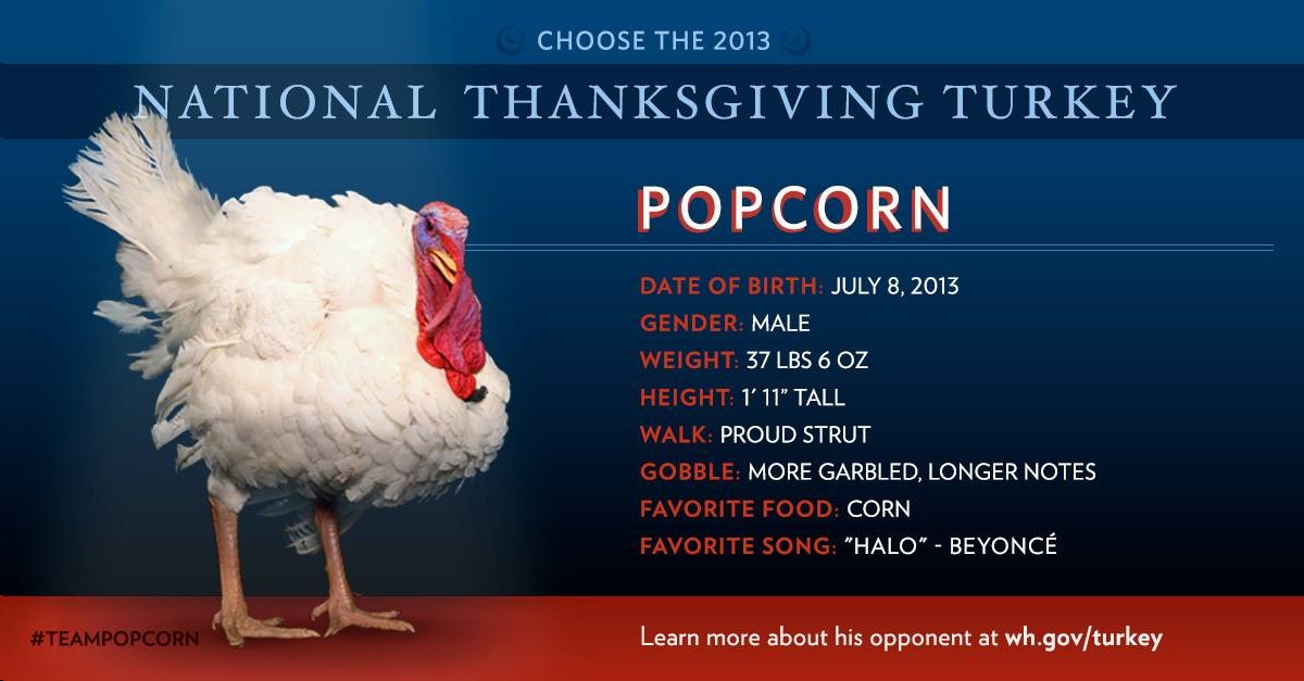 popcorn.jpg (1200&times;627)